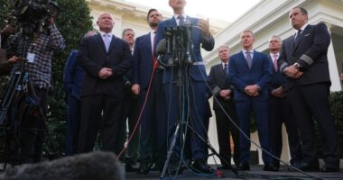 Air traffic controller shortages lead to broader US flight delays as shutdown nears one-month mark