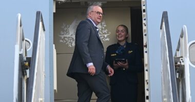 Albanese set to touch down in US - ahead of vital meeting with Trump