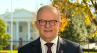 Albo breaks his silence on awkward Kevin Rudd and Trump exchange