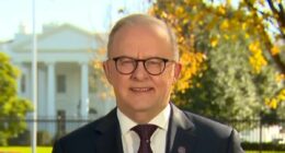 Albo breaks his silence on awkward Kevin Rudd and Trump exchange
