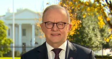 Albo breaks his silence on awkward Kevin Rudd and Trump exchange