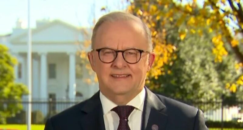 Albo breaks his silence on awkward Kevin Rudd and Trump exchange