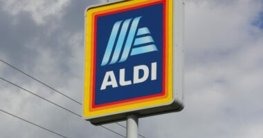 Aldi starts Thanksgiving meal price war: $40 for 10 people