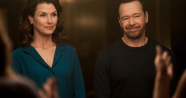All Of The Blue Bloods References In The Series Premiere