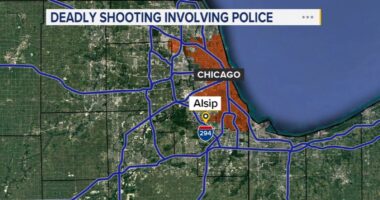 Alsip police shooting kills person with replica gun who had made threats about officers along Cicero Avenue: officials