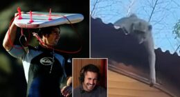 Andrew Johns has quit a surfing holiday after calling his family to tell them the local monkeys were teaming up against him. The former Newcastle Knights premiership winner is well known for his love of surfing and is a regular fixture at Sydney hotspot Bronte Beach.
