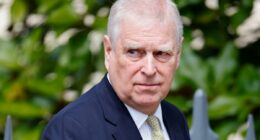 Andrew's downfall opens door for POLICE probe, biographer says