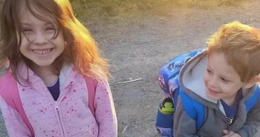Anguish of mother whose son, 4, and daughter, 6, vanished in woods