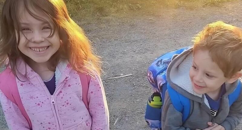 Anguish of mother whose son, 4, and daughter, 6, vanished in woods
