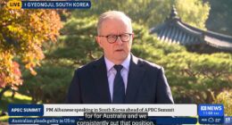 Anthony Albanese takes a Trump-style swipe at the media