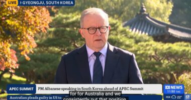 Anthony Albanese takes a Trump-style swipe at the media