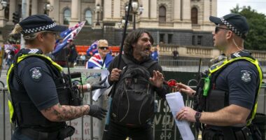 Anti-immigration rally descends into violence