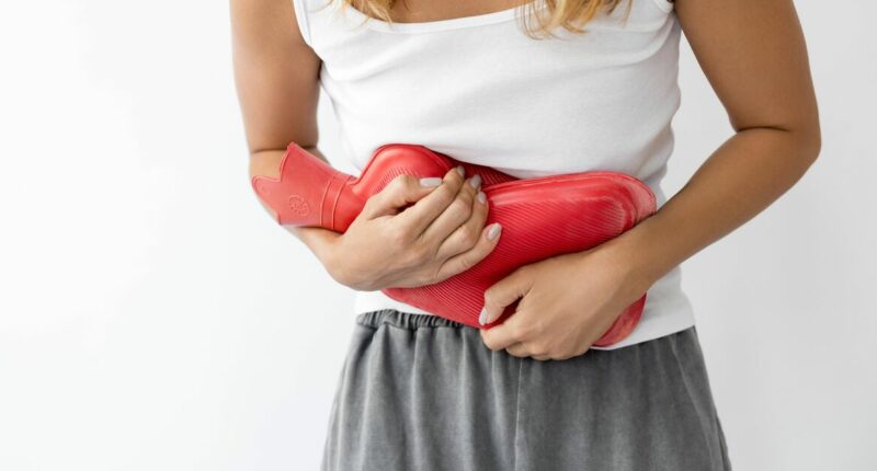 Anyone with a hot water bottle urged to make two safety checks now