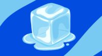 Apple pulls ICEBlock from the App Store