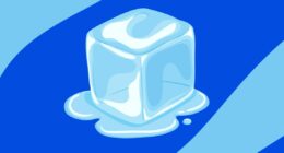 Apple pulls ICEBlock from the App Store