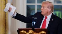 'Arc de Trump' designed by president himself to mark America's 250th