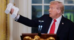 'Arc de Trump' designed by president himself to mark America's 250th