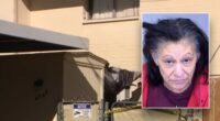 Arizona girl’s death ruled homicide after she was allegedly kept in cage at grandmother’s home: report