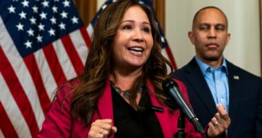 Arizona sues US House over delay in Grijalva swearing-in