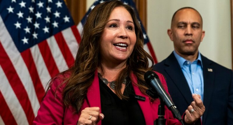 Arizona sues US House over delay in Grijalva swearing-in