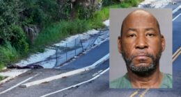 Arrest made in hit-and-run crash that killed Jacksonville teen Genesis Webber
