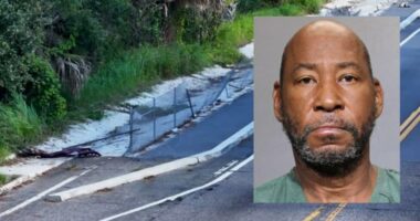 Arrest made in hit-and-run crash that killed Jacksonville teen Genesis Webber