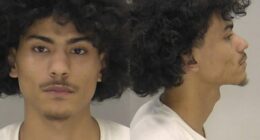 Arrests made in auto entering case in Augusta, RCSO says