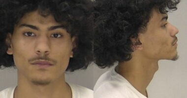 Arrests made in auto entering case in Augusta, RCSO says