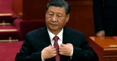 As Trump meets Xi, Republicans push for release of detained Americans