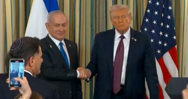 As Trump’s Gaza deal nears, family warns Israel not to free another Sinwar