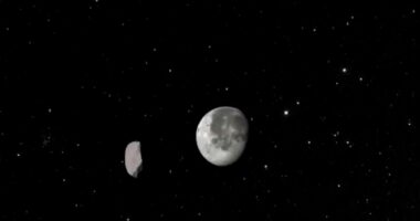 Asteroid could hit the moon in 2032