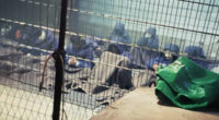 At Least 135 Mutilated Palestinian Bodies Traced to Israeli Prison Accused of Torture
