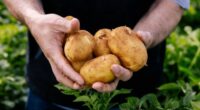 Australians are being hit with a potato shortage after growers experienced what they said has been one of the toughest seasons in a decade. ï»¿