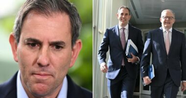Australia is now paying the price for Jim Chalmers' big mistake