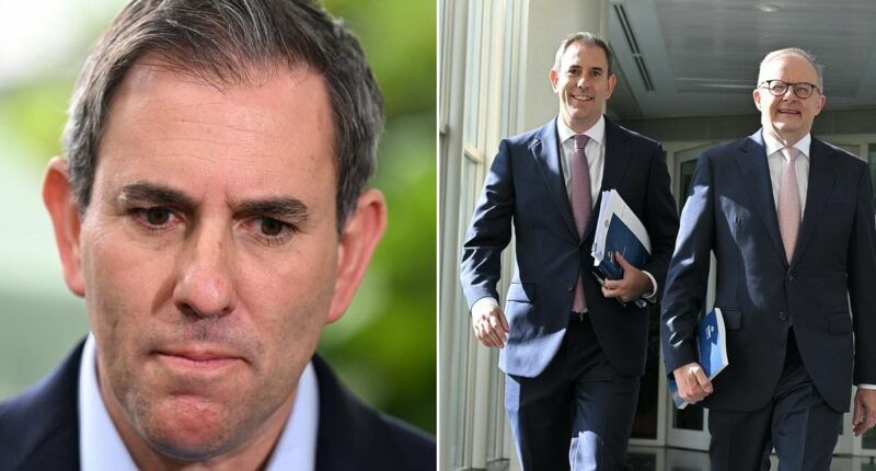 Australia is now paying the price for Jim Chalmers' big mistake