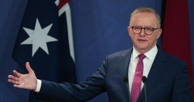 Australian prime minister's plane makes emergency landing in St. Louis after leaving Washington