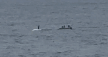 Authorities are investigating a shocking video of a person standing on top of a dead humpback whale south of Sydney.﻿