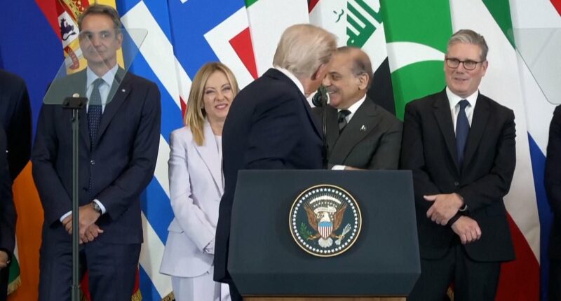 Awkward moment Donald Trump tells Giorgio Meloni she is 'beautiful'