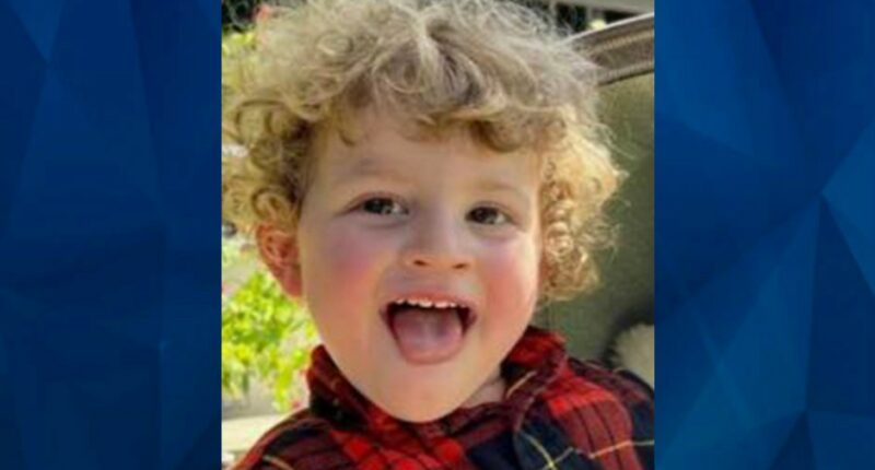 BOLO: 2-Year-Old Texas Boy Missing Over a Year