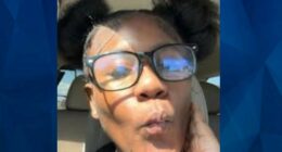 BOLO: Police Seek Tips on Missing 15-Year-Old Michigan Girl