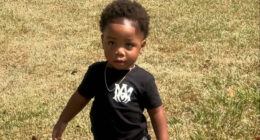 Babysitter Napped as Her 2 Rottweilers Mauled Toddler Boy to Death