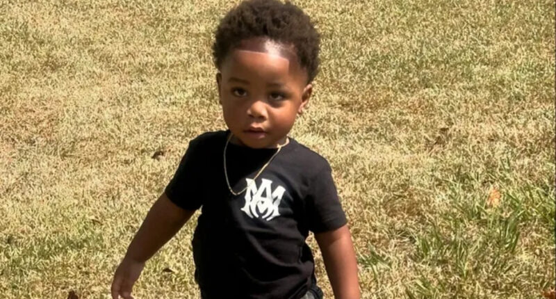 Babysitter Napped as Her 2 Rottweilers Mauled Toddler Boy to Death