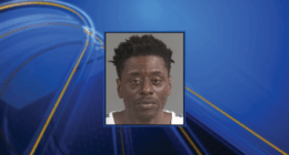 Bank robbery suspect arrested in Jasper County