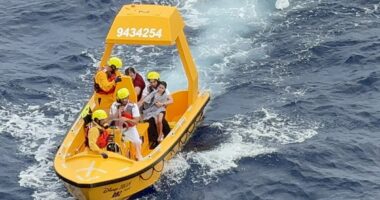 Behavior that led to girl's horror plunge from Disney cruise revealed