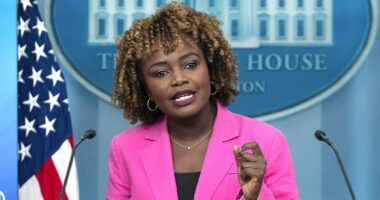 Biden's former press secretary a global laughingstock over interview