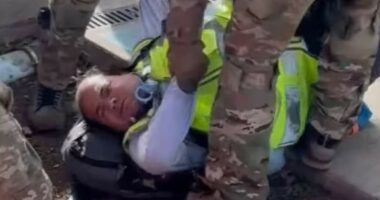 Blind anti-ICE protester filmed being arrested and dropped on his head