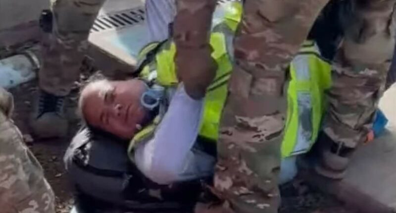 Blind anti-ICE protester filmed being arrested and dropped on his head