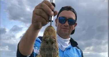 Bloke 'making a fortune' booted from Australia after minister call
