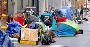 Blue city DA says repeat drug offenders 'will not respect the law' under current system