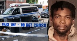 Blue city perp with 50+ arrests accused of pushing stranger onto train tracks in fifth attack that day: report